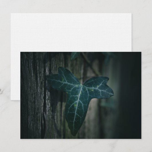 Donkere Natuur met Ivy Leaf-kaart (Voorkant / Achterkant)