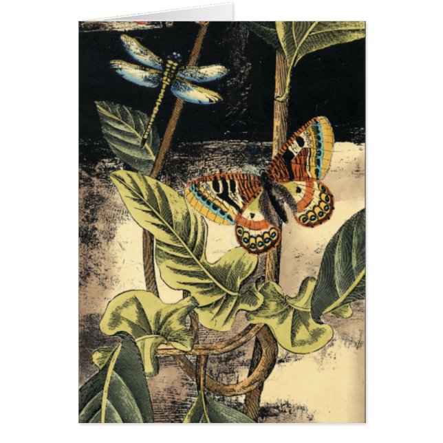 Donkere Natuur scène door Visual Studio (Voorkant)