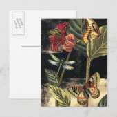 Donkere Natuur scène door Visual Studio Briefkaart (Voorkant / Achterkant)