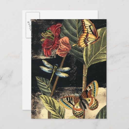 Donkere Natuur scène door Visual Studio Briefkaart (Voorkant / Achterkant)