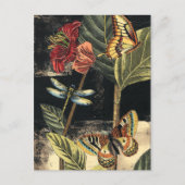 Donkere Natuur scène door Visual Studio Briefkaart (Voorkant)