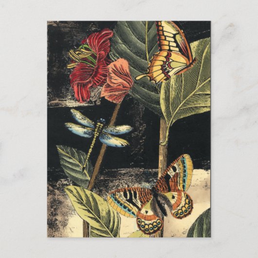 Donkere Natuur scène door Visual Studio Briefkaart (Voorkant)