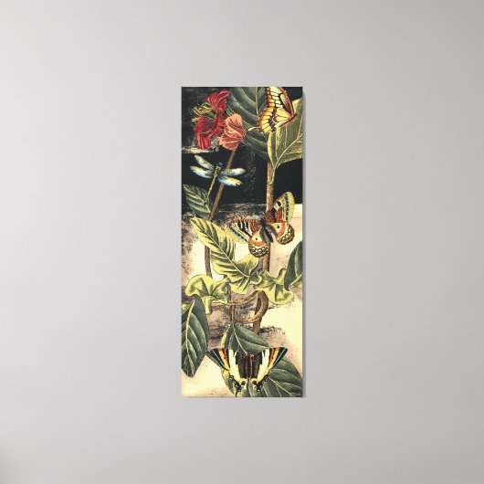 Donkere Natuur scène door Visual Studio Canvas Afdruk (Voorkant)