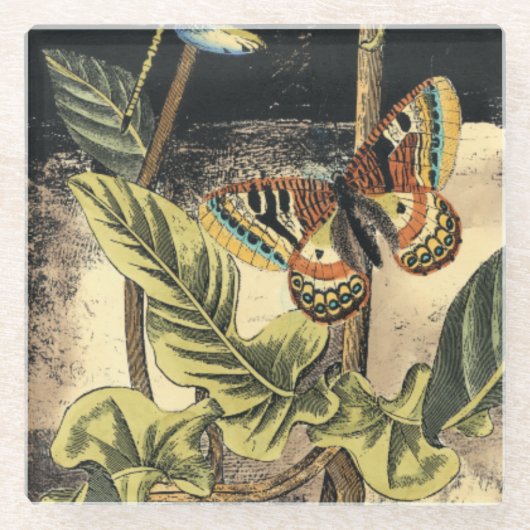 Donkere Natuur scène door Visual Studio Glazen Onderzetter (Voorkant)