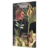 Donkere Natuur scène door Visual Studio Klembord (Links)