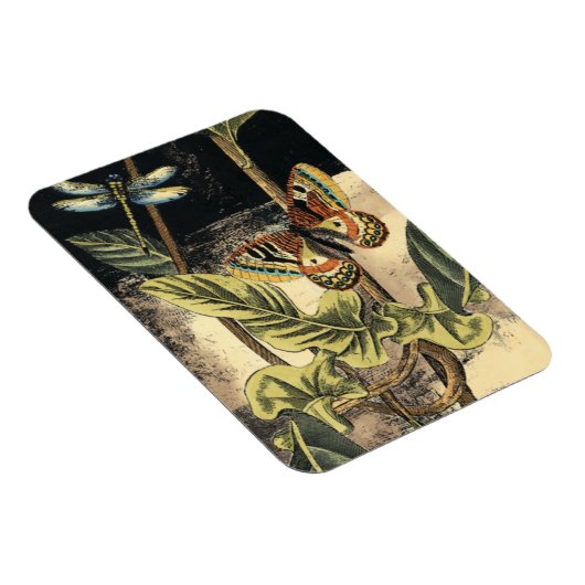 Donkere Natuur scène door Visual Studio Magneet (Rechterzijde)