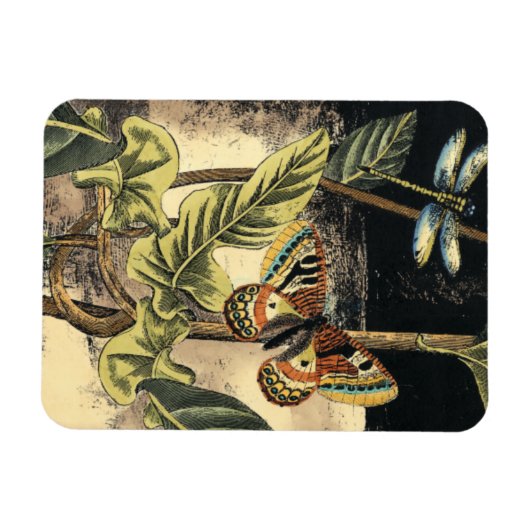 Donkere Natuur scène door Visual Studio Magneet (Horizontaal)