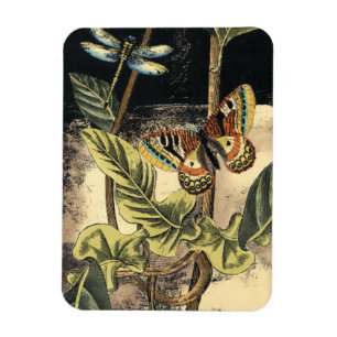 Donkere Natuur scène door Visual Studio Magneet