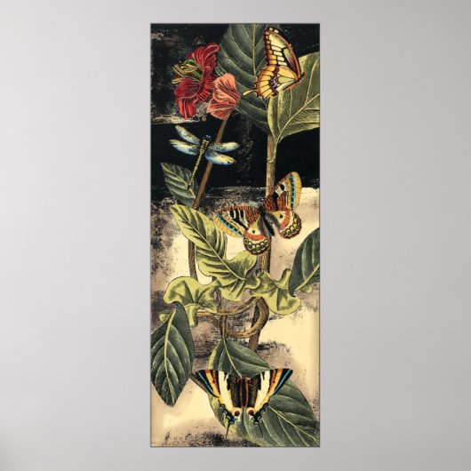 Donkere Natuur scène door Visual Studio Poster (Voorkant)