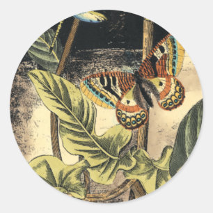 Donkere Natuur scène door Visual Studio Ronde Sticker