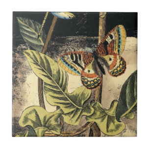 Donkere Natuur scène door Visual Studio Tegeltje