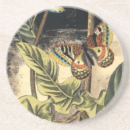 Donkere Natuur scène door Visual Studio Zandsteen Onderzetter (Voorkant)