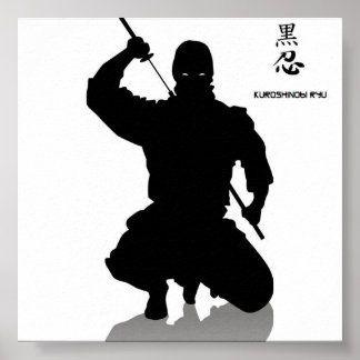 donkere ninja , shhinnob poster