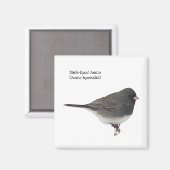 Donkere-oyed Junco Magneet (Voorkant / Achterkant)