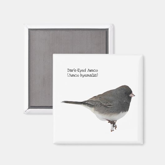 Donkere-oyed Junco Magneet (Voorkant / Achterkant)