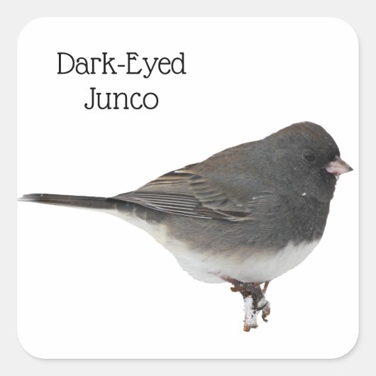 Donkere-oyed Junco Vierkante Sticker (Voorkant)