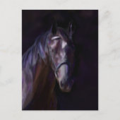 Donkere paarden briefkaart (Voorkant)