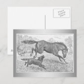 Donkere paarden en honden briefkaart (Voorkant / Achterkant)