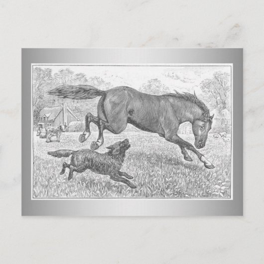 Donkere paarden en honden briefkaart (Voorkant)