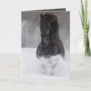 Donkere paarden lopen in het Wenskaart van de Snee Kaart