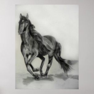 donkere paardentekening poster