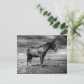 Donkere paarse Briefkaart (Staand voorkant)