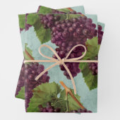 Donkere Paarse druiven en wijnstokken Inpakpapier Vel (In situ)
