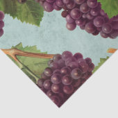 , donkere Paarse druiven en wijnstokken ontkoppele Tissuepapier (Detail)
