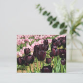 Donkere Paarse en roze tulpen Briefkaart (Staand voorkant)