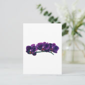 Donkere Paarse Phalaenopsis Orchids Briefkaart (Staand voorkant)