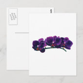 Donkere Paarse Phalaenopsis Orchids Briefkaart (Voorkant / Achterkant)