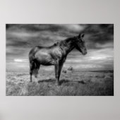 Donkere paarse Poster (Voorkant)