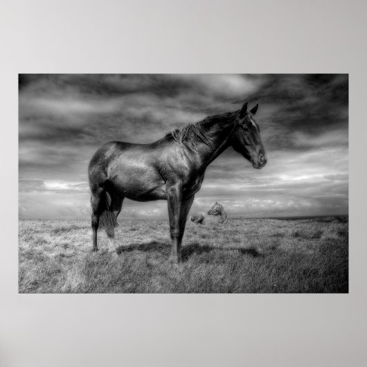 Donkere paarse Poster (Voorkant)