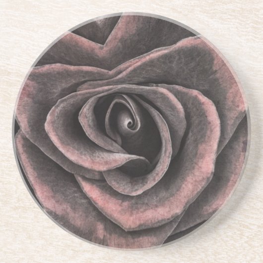  donkere Paarse Roos kunst Zandsteen Onderzetter (Voorkant)