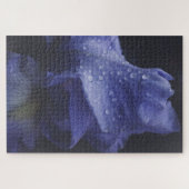 Donkere Paarse Roos ventilator Legpuzzel (Horizontaal)