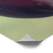 Donkere Paarse Tulip Flower Poster (Hoek)