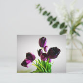 Donkere Paarse Tulpen Briefkaart (Staand voorkant)