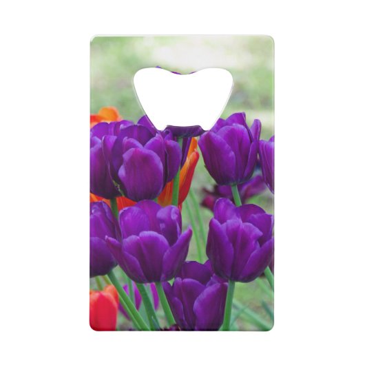 Donkere paarse tulpen creditkaart flessenopener (Voorkant)