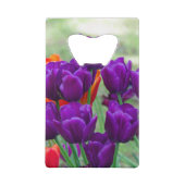 Donkere paarse tulpen creditkaart flessenopener (Achterkant)