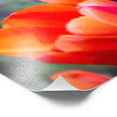 Donkere paarse tulpen foto afdruk (Hoek)