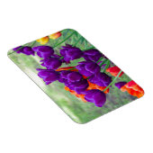 Donkere paarse tulpen magneet (Rechterzijde)