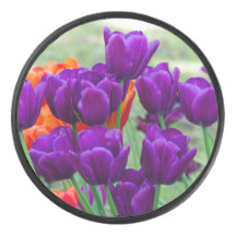 Donkere paarse tulpen op een zonnige dag in de tui