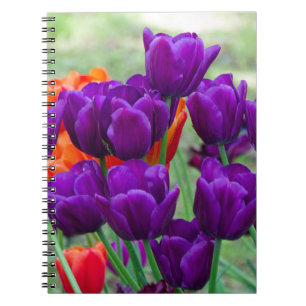 Donkere paarse tulpen op een zonnige dag in de tui notitieboek