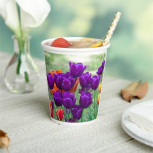 Donkere paarse tulpen op een zonnige dag in de tui papieren bekers
