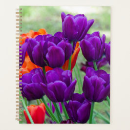 Donkere paarse tulpen op een zonnige dag in de tui planner