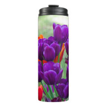 Donkere paarse tulpen op een zonnige dag in de tui