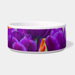 Donkere paarse tulpen op een zonnige dag in de tui voerbakje