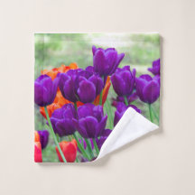 Donkere paarse tulpen op een zonnige dag in de tui