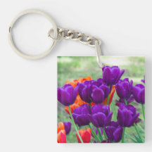 Donkere paarse tulpen