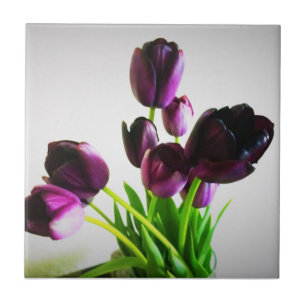 Donkere Paarse tulpen Tegeltje